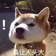 我是你们的好朋友鸭