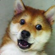 狗哥