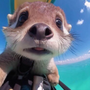 年愁今夜未到乡