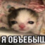 Залупачосик