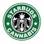 StArBuDz
