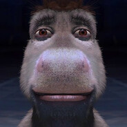 Donkey