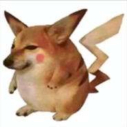 电脑玩家卢本伟