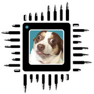 ap4n avatar