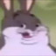 !Hentai bigchungus