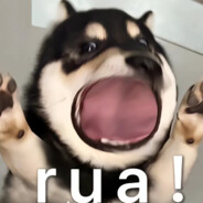 唯有当老六才能抚平伤