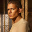 Michael Scofield