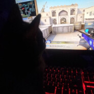 Данел Уибан