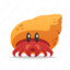 Hermit_Crab