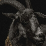 maverstappen avatar
