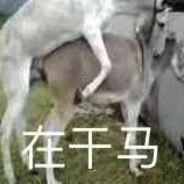 在干嘛