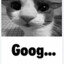 :fingers_crossed: