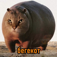 Begekotenok