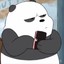 TITAN_Panda_casedrop.eu