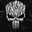 PUNISHER