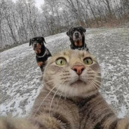 15yo talent auTIST♿