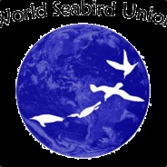 MLG PRO|SEABIRD