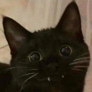 Balsá Steam avatar