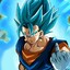 Vegetto