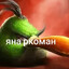 ЯНА СВО