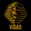 ViGaS