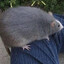 rodent moment