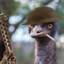 Emu