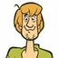 Shaggy Rodgers