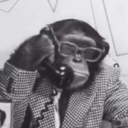 George Monkey