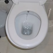 Ja Ja we we :D - steam id 76561197961351275