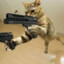 CatWithTheGat