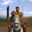 0x277F SKINS