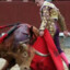 MaTaDoR