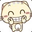 会飞的猫