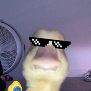 𝙅𝙖𝙝𝙮𝙨𝙩𝙠𝙚