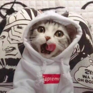 猛踹瘸子那条好腿