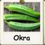 OKRA MAN