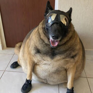 zaraggiz - steam id 76561199639801778