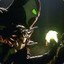 Spawn