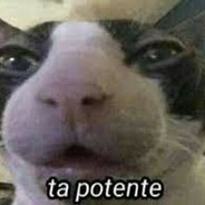 Fallencido