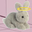 AngelBun