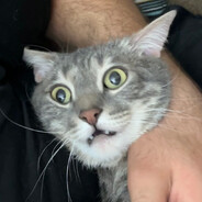 psikolojiksorunlarasahibim