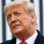 Donald Suck