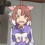 chevacchi