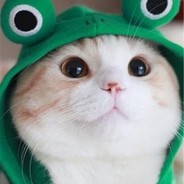 ChaoJiG