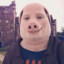 John pork