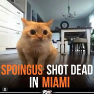 Spoingus