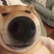 再多看一眼就会爆炸