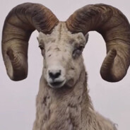 超级无敌大角羊