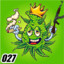 027 Kush Kings | Charradoste